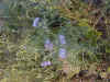 sud19.jpg (47519 octets)